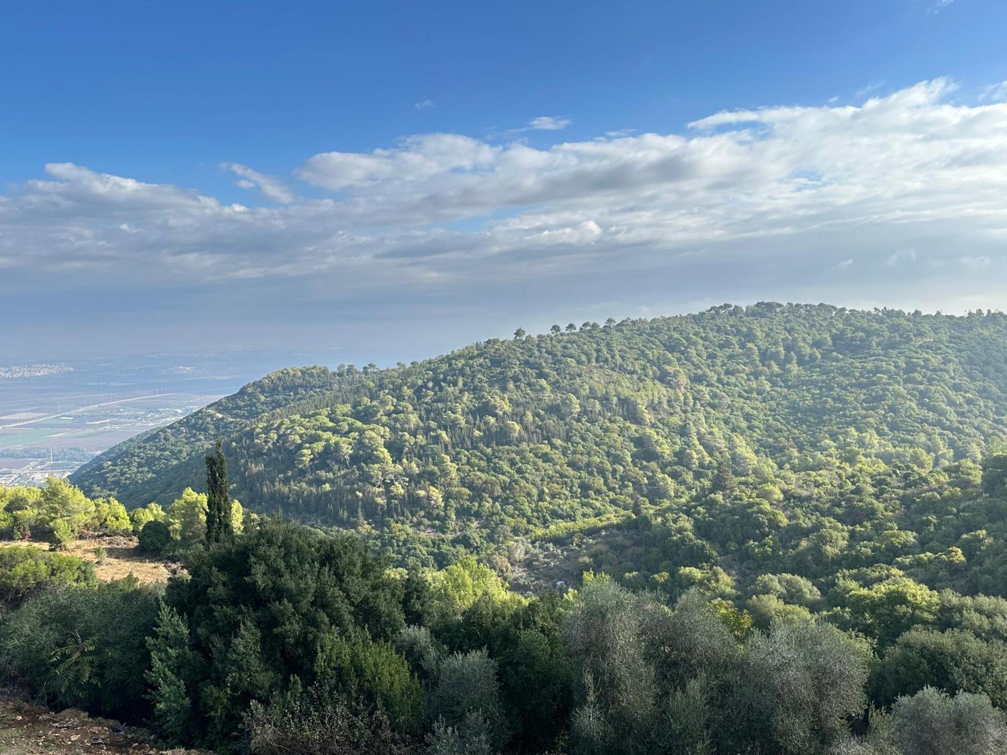 Panoramic View 호텔 Isfiya 외부 사진